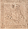 Palace Stone 114473 Tozzetti medusa levigati ROSA