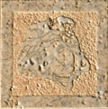 Palace Stone 114470 Tozzetti medusa levigati ALMOND - Керамогранит Versace Home PALACE Stone