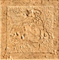 Palace Stone 114472 Tozzetti medusa levigati ORO - Керамогранит Versace Home PALACE Stone
