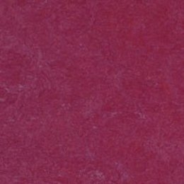 Raspberry (3879) - Пробка Marmoleum "Real"