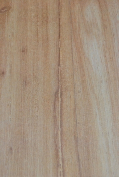 Шоколадное дерево W508 - Ламинат EPI "Wood Clic"