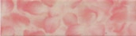 Infinita' Petali Rosa Listello