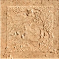 Palace Stone 114471 Tozzetti medusa levigati BEIGE