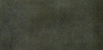 Trend fossil