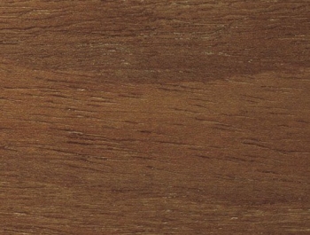 Бук коричневый - Плинтус Pedross 60 x 22