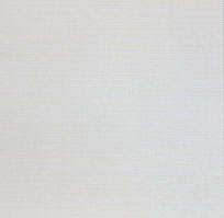 Dandy white - Керамическая плитка Sant'Agostino ceramica White Album