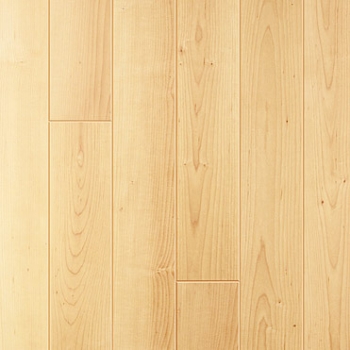 Natural varnished maple (Клен натур) - Ламинат Quick Step (Квик степ) Elegance 800