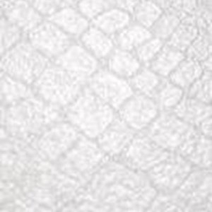 Саламандра белая - Ламинат Ritter Коллекция «Ганнибал»