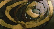 Tiger - dec - Керамическая плитка Ceramiche Brennero Vernissage