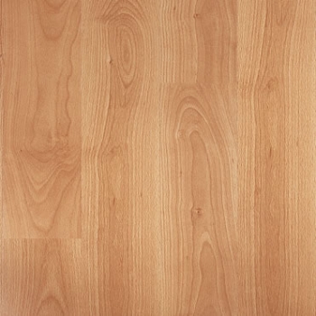 Varnished beech planks (Бук) - Ламинат Quick Step (Квик степ) Eligna 800