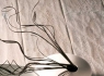 Корсика - Паркетная доска Solidfloor " Hermitage 3D"