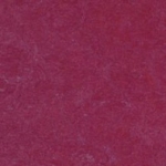 Raspberry (3879)